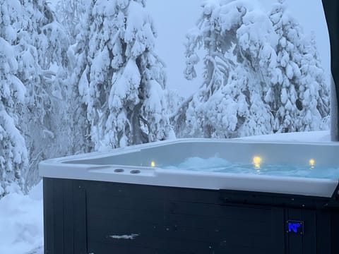 Natural landscape, Winter, Hot Tub