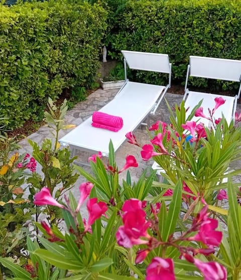 Spring, Garden, sunbed