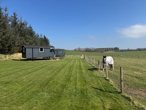 Roslin Glamping Campground/ 
RV Resort in Scotland