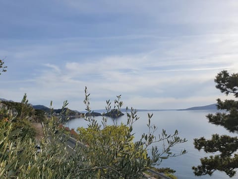 Sea view
