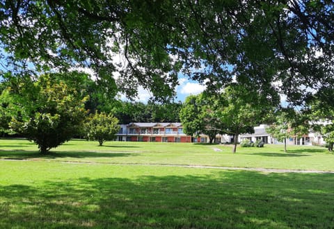 Natural landscape, Garden, Garden view