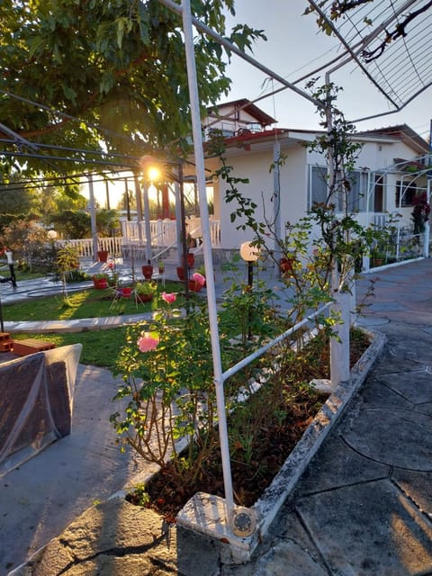 Villa Artzie. Έξοχικο με τεράστιο εξωτερικό χώρο. House in Halkidiki