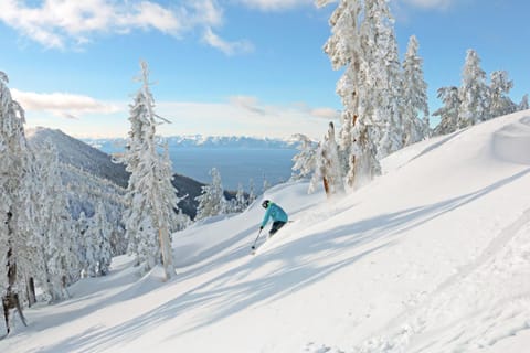 Allen Way Escape House in Incline Village