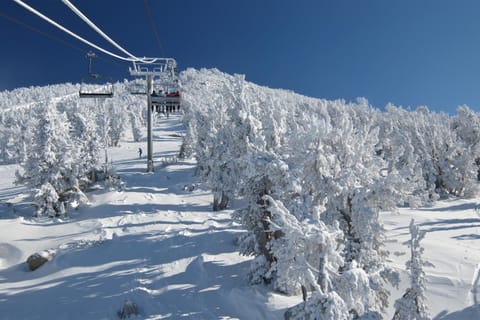 Allen Way Escape House in Incline Village