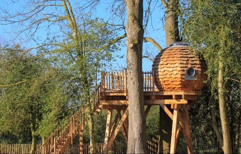 Cabane sur pilotis Luxury tent in Hauts-de-France