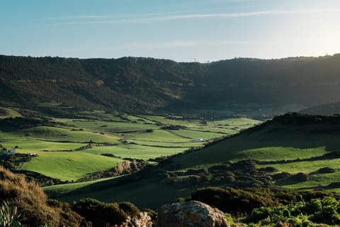 Nearby landmark, Spring, Day, Natural landscape, Garden, Mountain view, Mountain view