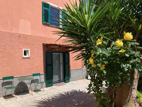 Property building, Garden, Garden view