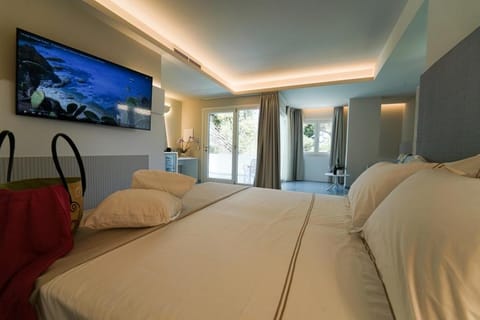 TV and multimedia