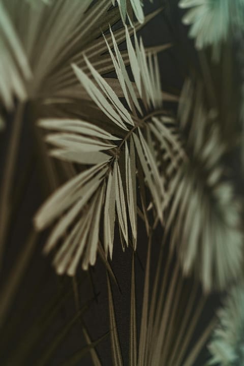 La DOLCE Villetta - appartement de Standing Apartment in Mulhouse