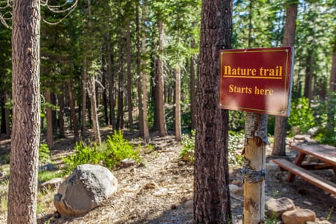 Aspen Grove Condo Apartment in Northstar Drive