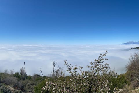 Million Dollar Mountain View House in Crestline