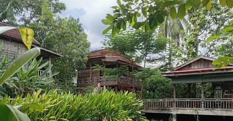 Property building, Garden, Garden view