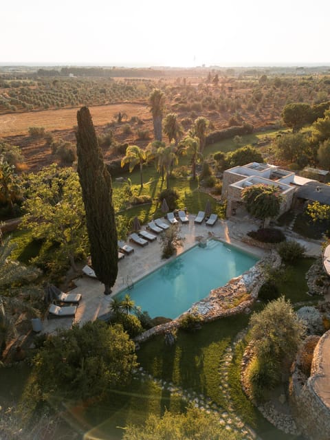 Natural landscape, Swimming pool, sunbed