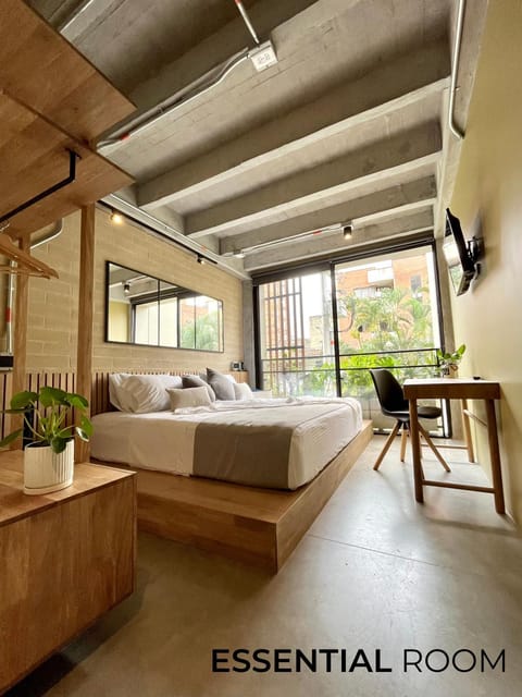 Bed, Photo of the whole room