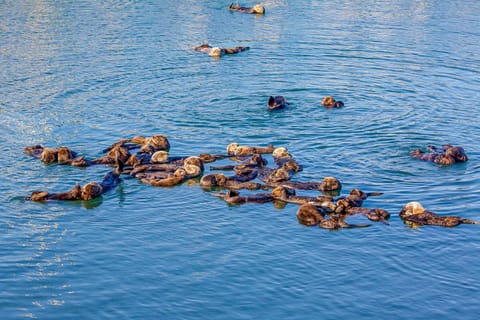 Verdon Oasis House in Morro Bay