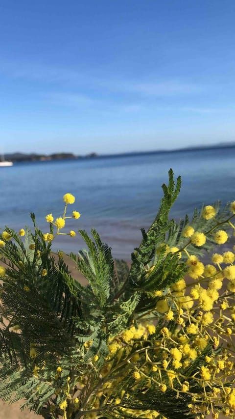 Maison la Londe House in La Londe-les-Maures