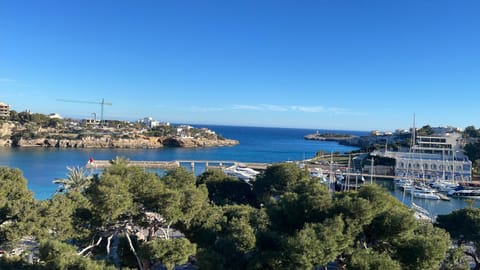 Lake view, Sea view