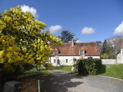 Property building, Facade/entrance, Spring, Day, Garden, Garden view, internet