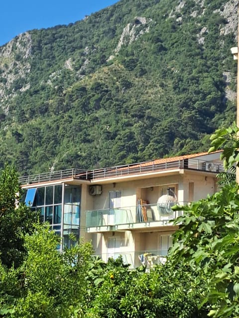 Apartments with sea view in Prcanj Apartment in Kotor Municipality