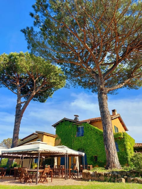 Natural landscape, Garden, Garden view