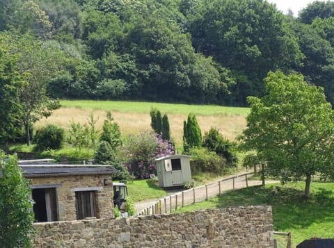 Natural landscape, Garden