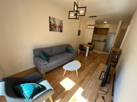 White Homes 49/71 - Central Point Apartment in Podgorica