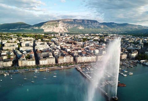 Luxury Apartment in Central Geneva Apartment in Geneva