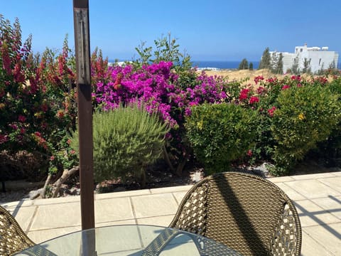 Patio, Spring, Day, Natural landscape, Garden, Garden view, Sea view
