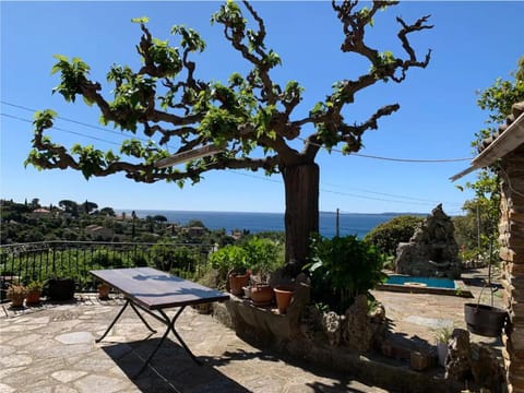 Patio, Sea view