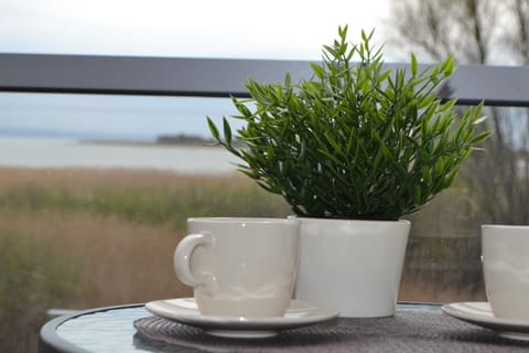 Apartament Justynka Apartment in Pomeranian Voivodeship