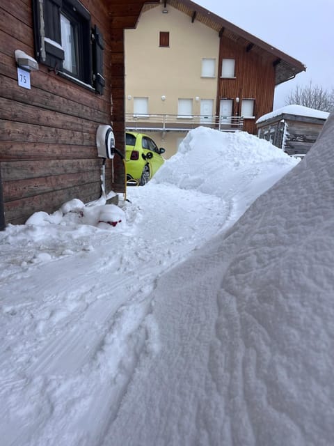 Chalet des 2 lacs Chalet in Xonrupt-Longemer