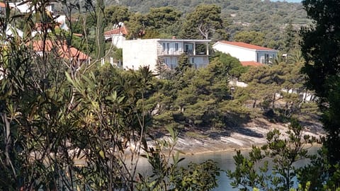 Property building, Neighbourhood, Bird's eye view
