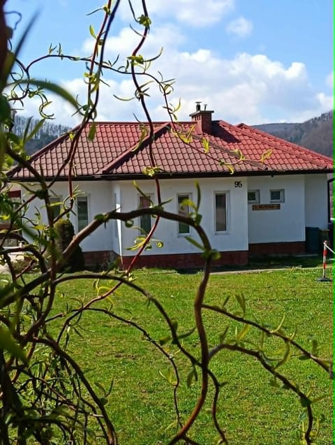 Day, Natural landscape, Garden, Garden view