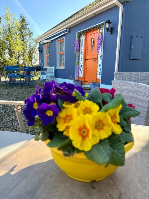 Blueberry Tiny Home House in County Limerick