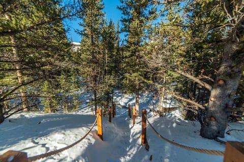 Enjoy the Creek Surrounded by High Mountain Peaks - Creekside Mountain Cabin Cabin in Alma