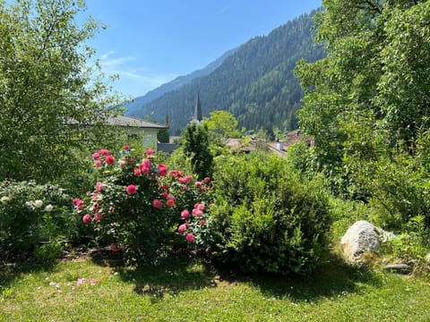 Day, Garden, Garden view, Mountain view