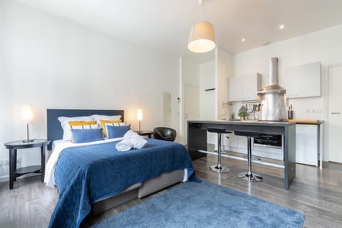 Vieux Lille - Large modern and functional studio Apartment in Lille