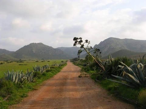 Natural landscape