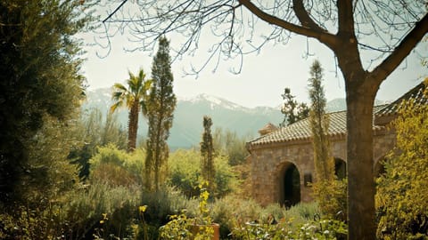 Mountain view