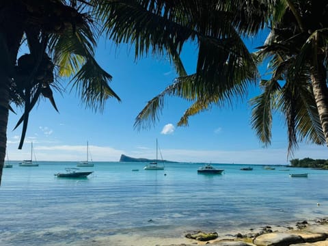 Nearby landmark, Natural landscape, Beach, Sea view