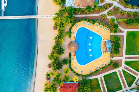 Bird's eye view, Pool view