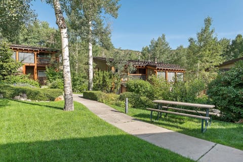 Willows Condos by Snowmass Vacations Apartment in Snowmass Village