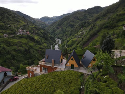 Property building, Bird's eye view