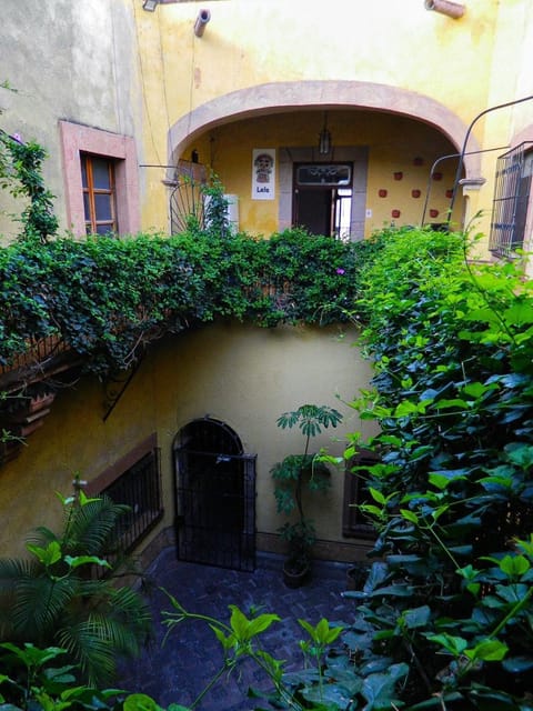 Property building, Garden, Garden view