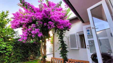 Property building, Facade/entrance, Day, Garden, View (from property/room), Balcony/Terrace, Garden view, Garden view