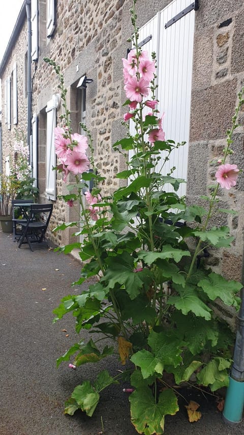 Les Gravelots House in Saint-Vaast-la-Hougue