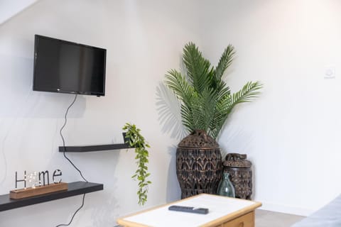 Doux Cocon Tropical au cœur du centre ville Apartment in Troyes