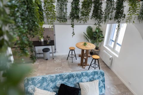 Doux Cocon Tropical au cœur du centre ville Apartment in Troyes
