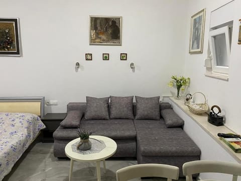 Vinka Apartment in Šibenik-Knin County, Croatia