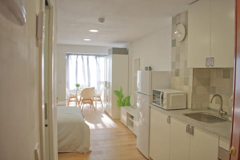 Kitchen or kitchenette, Photo of the whole room, kitchen
